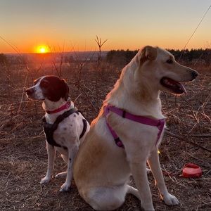 Meet your Posher, Abby